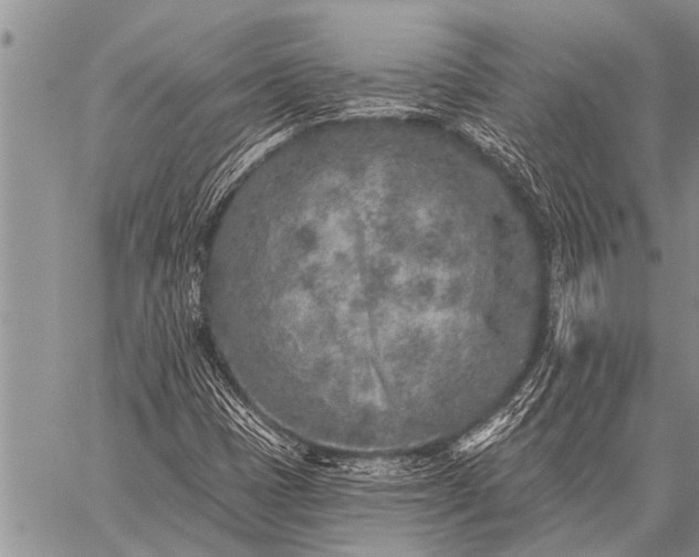 X0000059041401200510171837