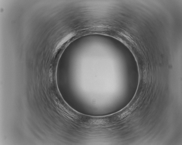 X0000059041402200510171837