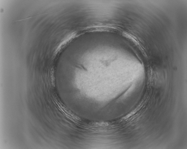 X0000059041403200510171837