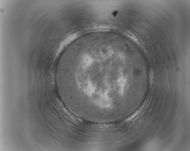 X0000059041405200510171837