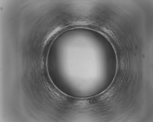 X0000059041406200510171837