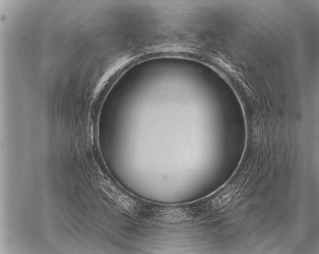 X0000059041408200510171837