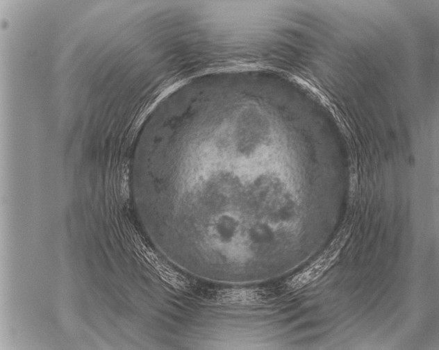 X0000059041409200510171837