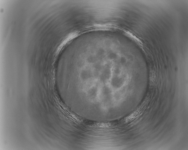 X0000059041411200510171837