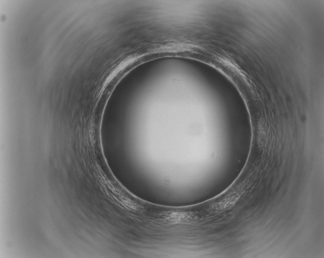 X0000059041412200510171837