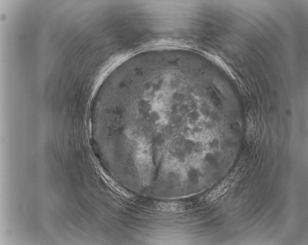 X0000059041413200510171837