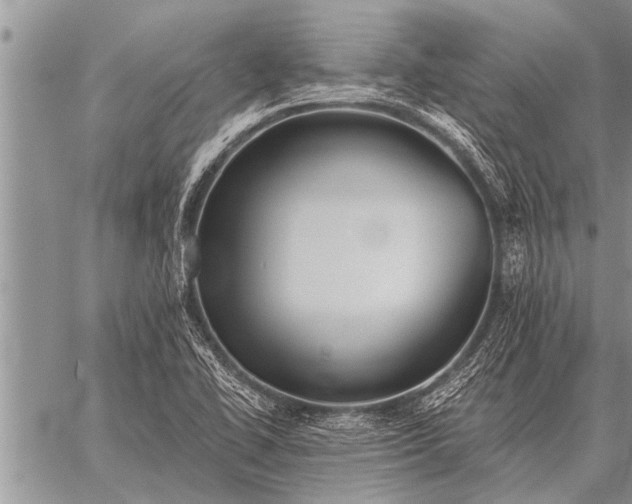 X0000059041414200510171837