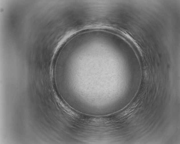 X0000059041416200510171837