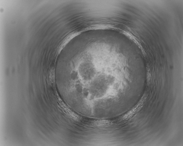 X0000059041417200510171837