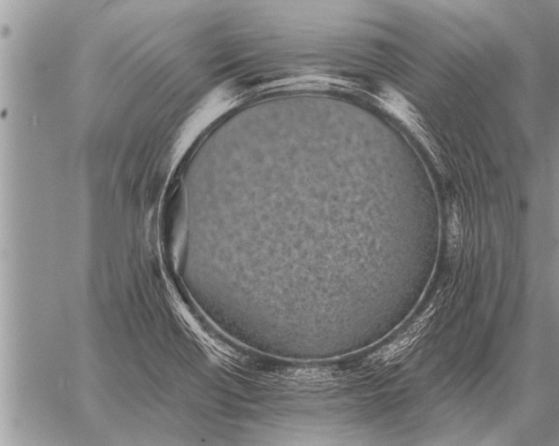 X0000059041418200510171837