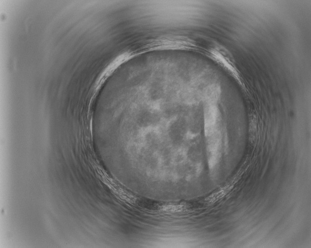 X0000059041419200510171837