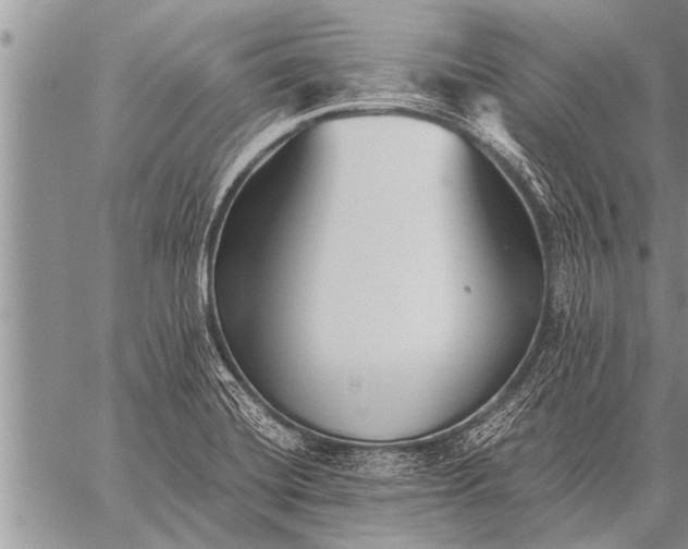 X0000059041420200510171837