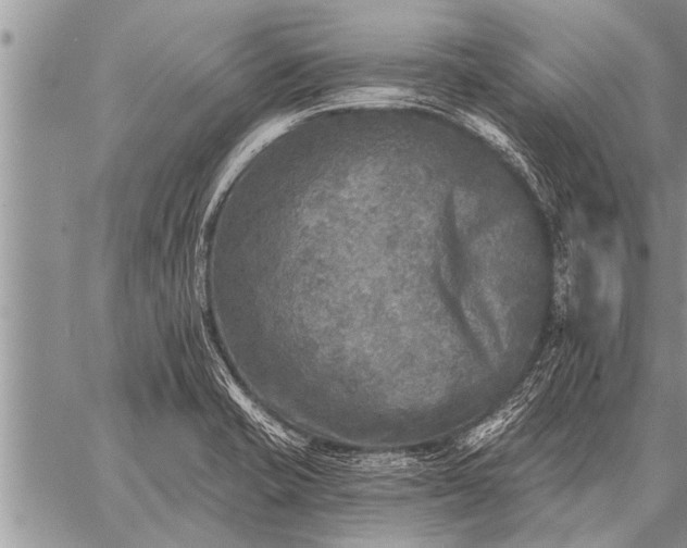 X0000059041421200510171837