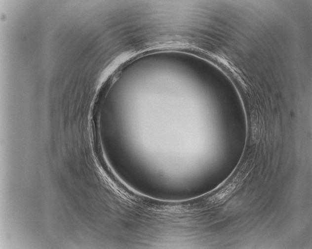 X0000059041422200510171837