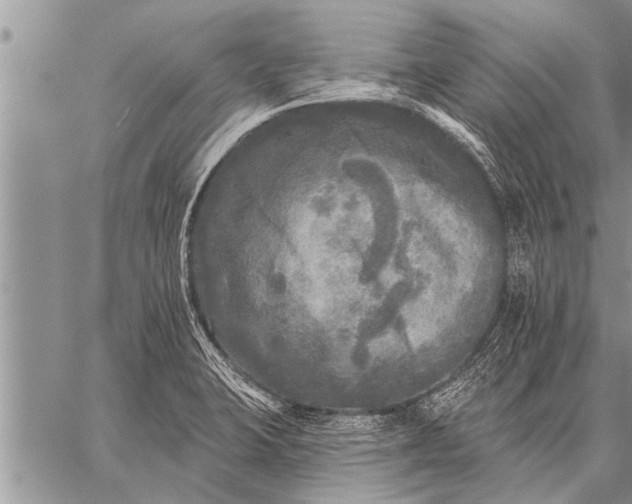 X0000059041423200510171837