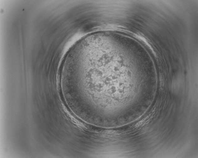 X0000059041424200510171837