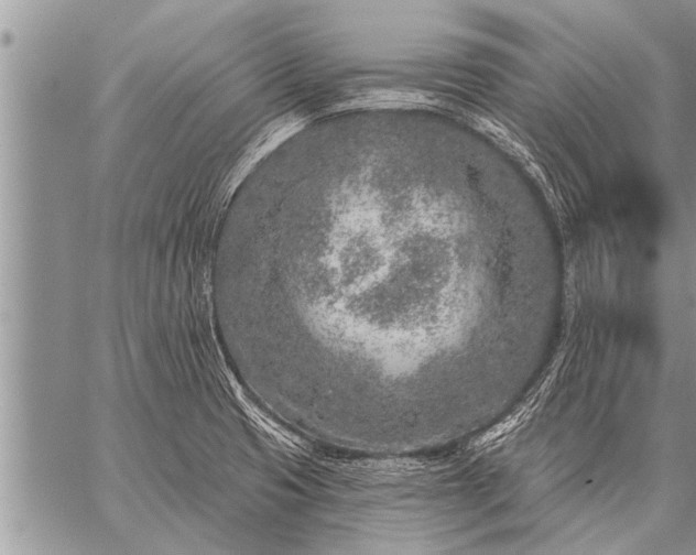 X0000059041425200510171837