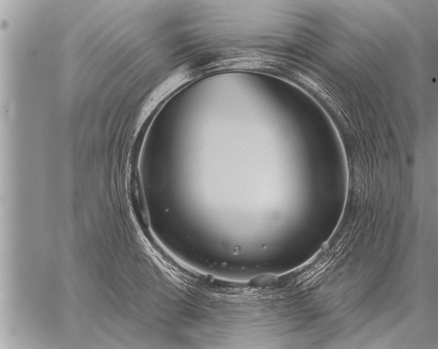 X0000059041426200510171837