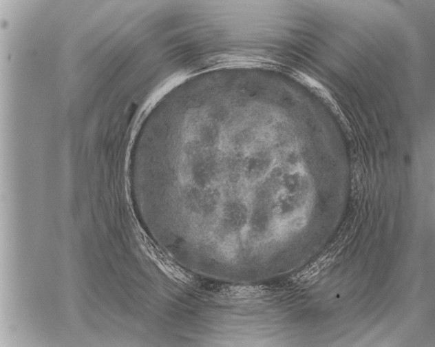 X0000059041427200510171837