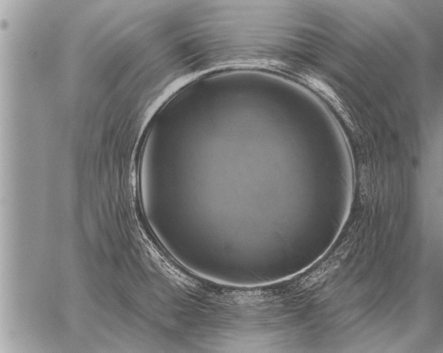 X0000059041428200510171837