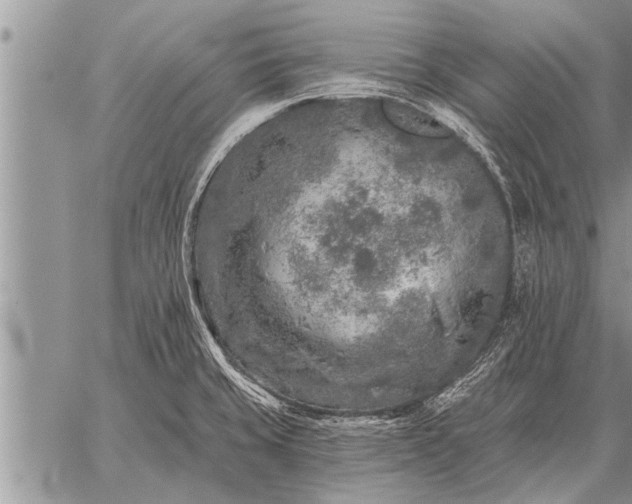 X0000059041429200510171837