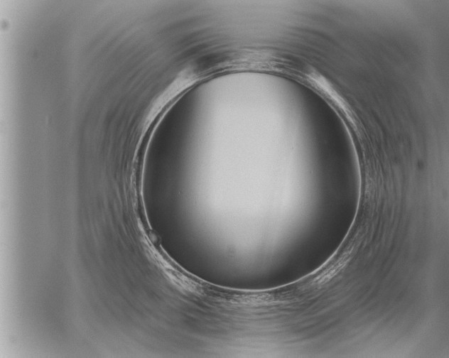 X0000059041434200510171837