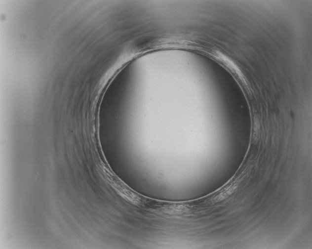 X0000059041435200510171837