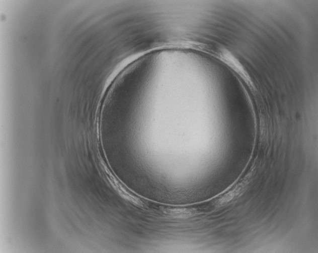 X0000059041436200510171837