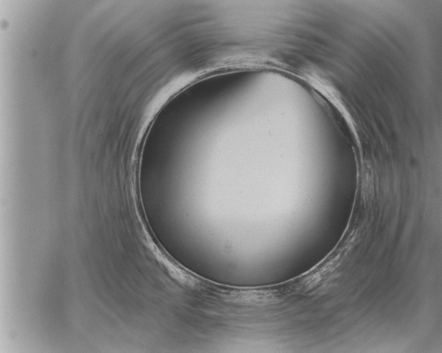 X0000059041437200510171837