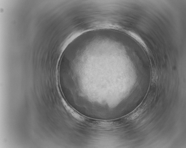 X0000059041439200510171837