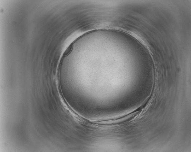 X0000059041440200510171837