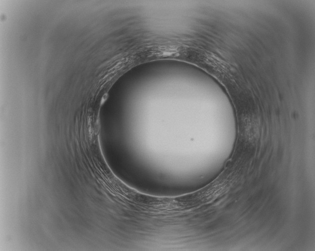 X0000059041442200510171837