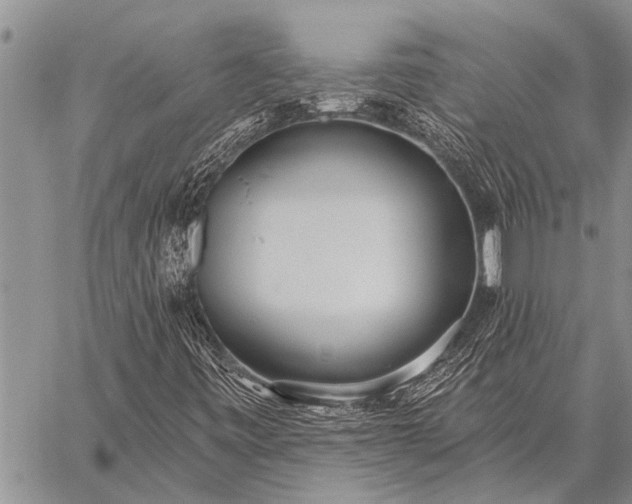 X0000059041443200510171837