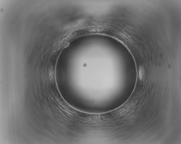 X0000059041444200510171837