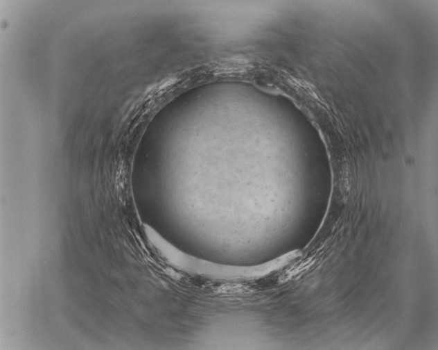 X0000059041445200510171837