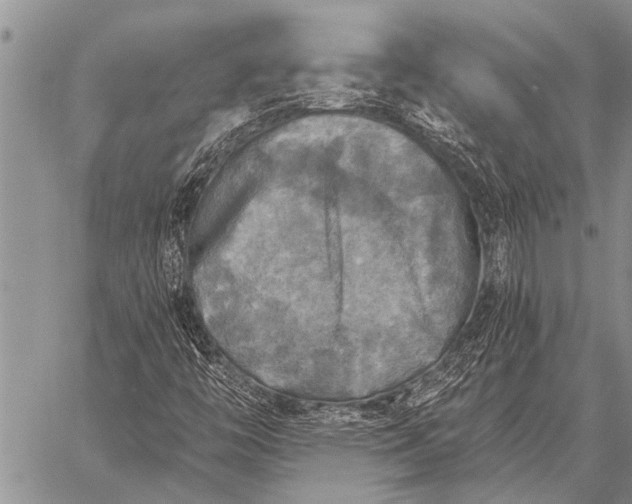 X0000059041446200510171837