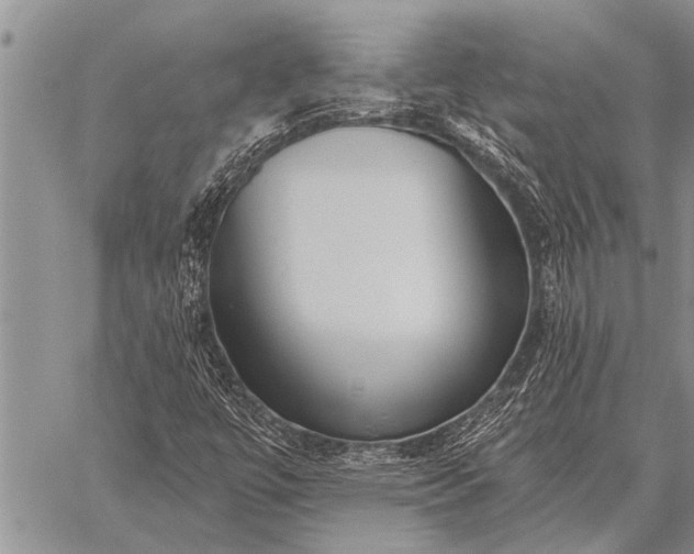 X0000059041447200510171836