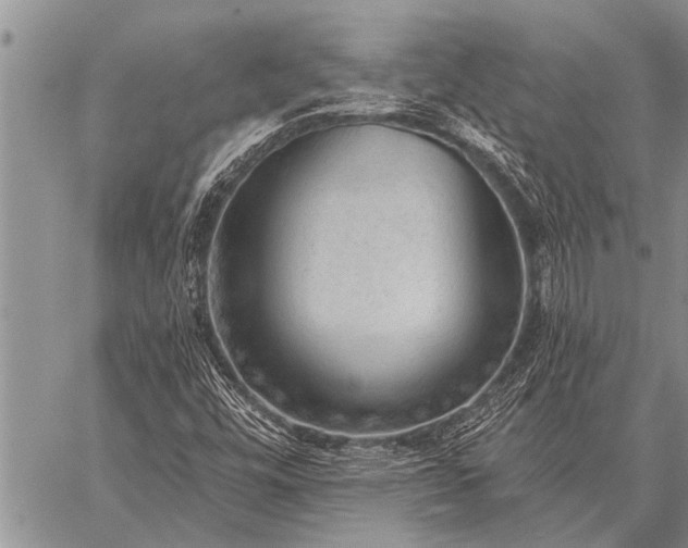 X0000059041448200510171836