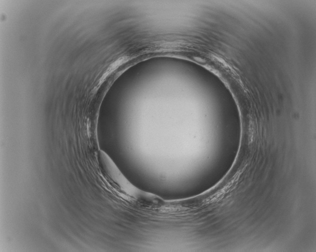 X0000059041449200510171836