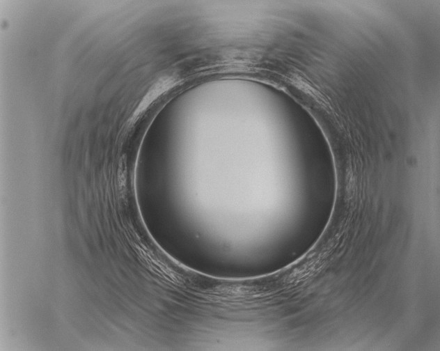 X0000059041450200510171836