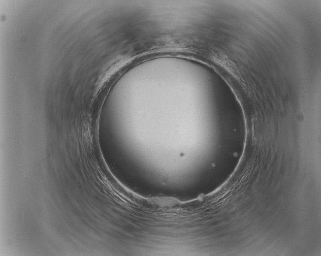 X0000059041452200510171836