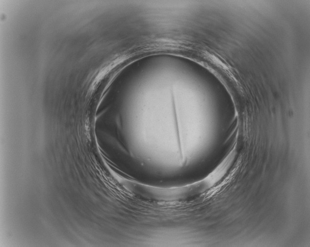 X0000059041453200510171836