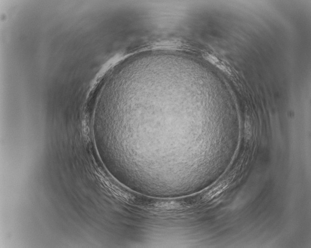 X0000059041454200510171836