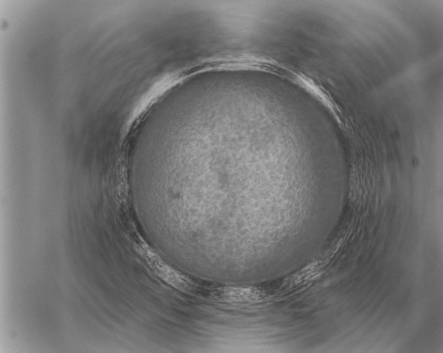 X0000059041456200510171836