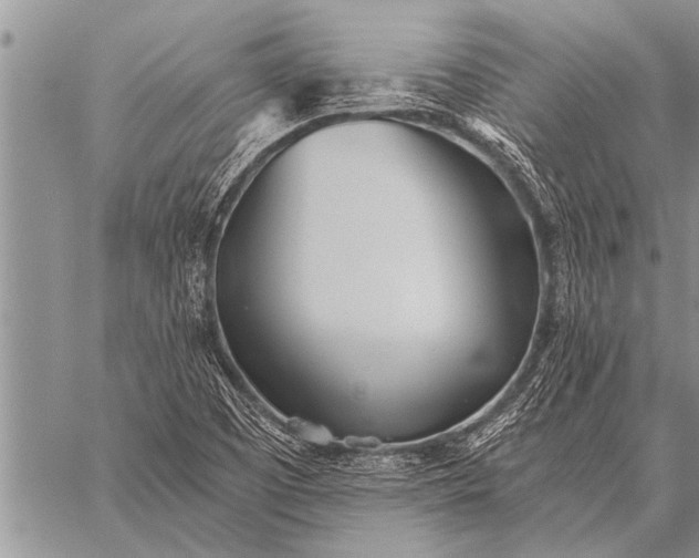 X0000059041457200510171836