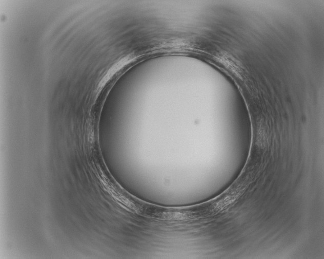 X0000059041458200510171836