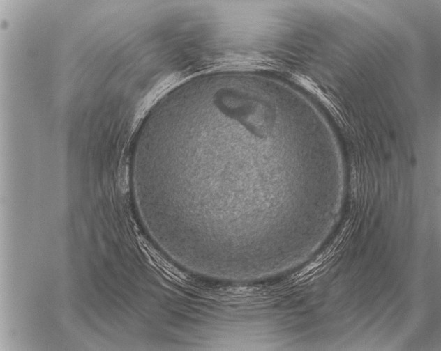 X0000059041459200510171836