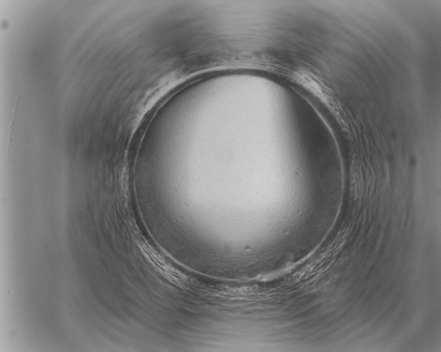 X0000059041460200510171836