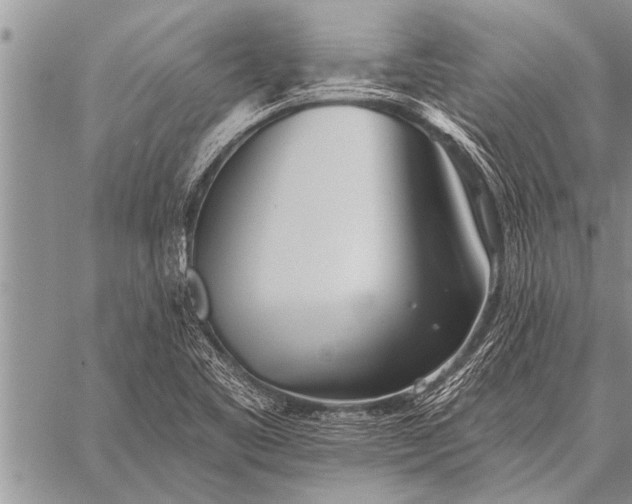 X0000059041461200510171836