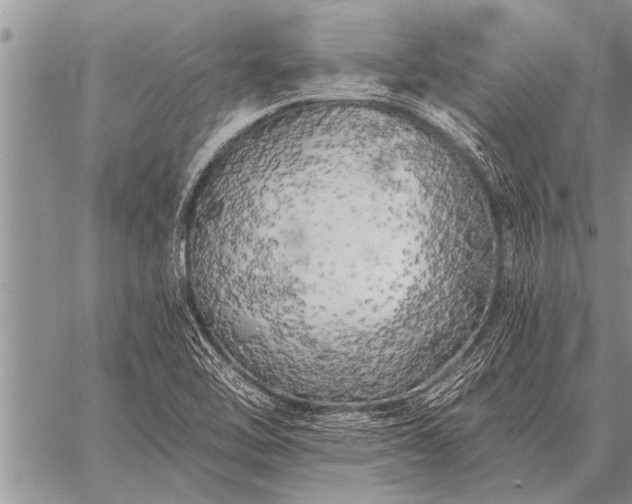 X0000059041462200510171836